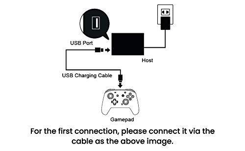 Wireless Controller for Nintendo Switch, EasySMX Wirless Gaming Controller for Switch - JOY2ESpree