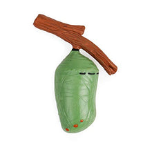 
                        
                          將圖片載入圖庫檢視器 UANDME 4pcs Butterfly Life Cycle Kit Lifestyle Stages of Monarch Butterfly Teaching Tools for Kids, Students - JOY2ESpree
                        
                      