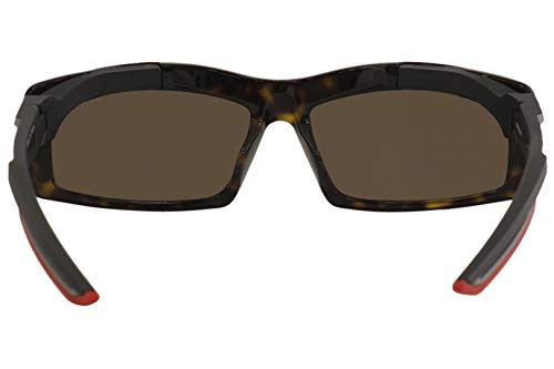 Balenciaga Men's BB0026SA BB/0026/SA 003 Havana Rectangle Sunglasses 59mm