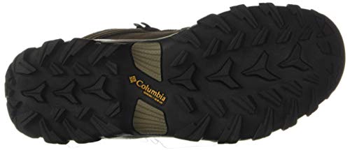 Columbia Men's Newton Ridge Plus Ii Waterproof Hiking Boot Shoe
