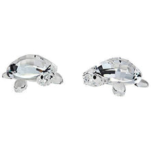 
                        
                          將圖片載入圖庫檢視器 Baby Tortoises - JOY2ESpree
                        
                      