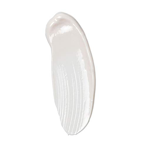 Dermalogica Invisible Physical Defense SPF30 (1.7 Fl Oz) Face Sunscreen Moisturizer - Non-Greasy Formula That Defends Against UVA/UVB/Blue Light