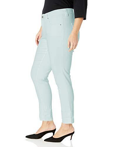 Jag Jeans Women's Plus Size Carter Girlfriend Jean