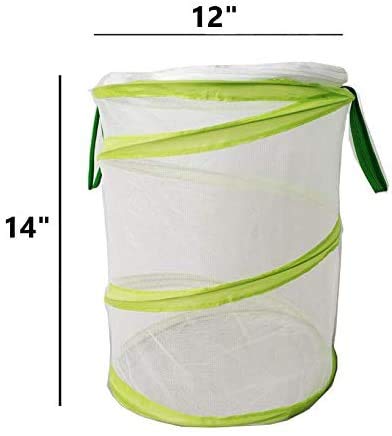 Chyl & Party Pop-up Collapsible Insect and Butterfly Habitat Cage Toy - JOY2ESpree