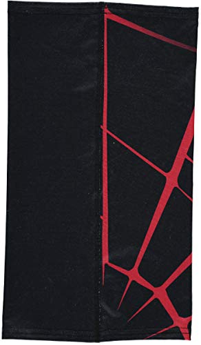 Spyder Active Sports Men's Cruise Tube Neck Gaiter