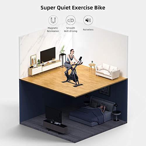 RHYTHM FUN Exercise Bike Indoor Cycling Bike Stationary Bikes Super Quiet Resistance Exercise Bike - JOY2ESpree