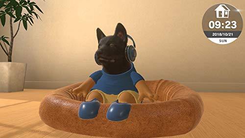 Little Friends: Dogs & Cats - Nintendo Switch - JOY2ESpree