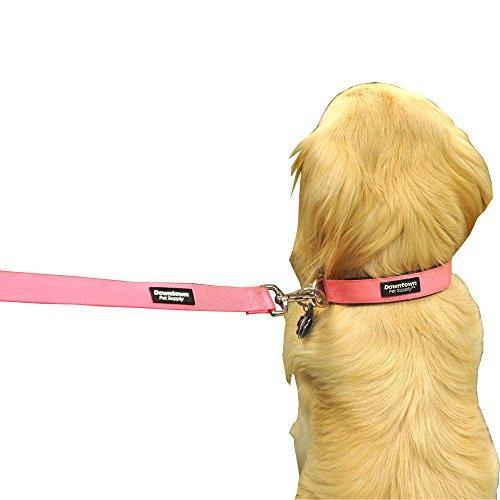 Downtown Pet Supply Deluxe Adjustable Thick Dog Collar, (Purple, XLarge)