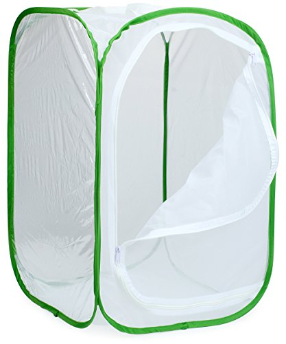RESTCLOUD Insect and Butterfly Habitat Cage Terrarium Pop-up 24 Inches Tall with 10Pcs 10ML Floral Tubes - JOY2ESpree