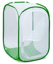 
                        
                          गैलरी व्यूवर में इमेज लोड करें, RESTCLOUD 36" Large Monarch Butterfly Habitat, Giant Collapsible Insect Mesh Cage Terrarium Pop-up 24 x 24 x 36 Inches - JOY2ESpree
                        
                      