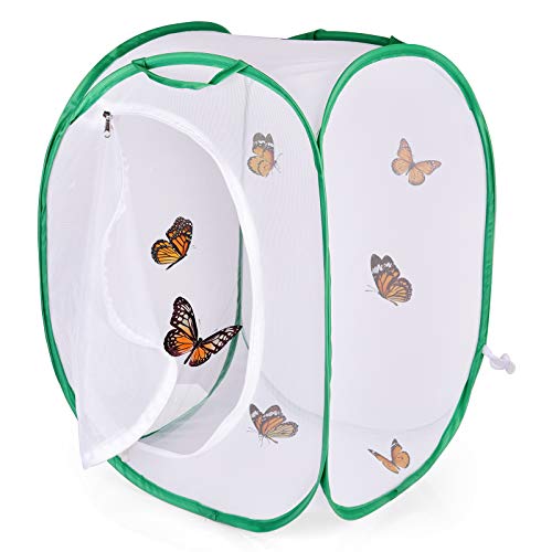 FUN LITTLE TOYS Square Butterfly Cage Set Butterfly Habitat Butterfly Garden Kit Insect Lore Butterfly Garden Without Butterfly - JOY2ESpree