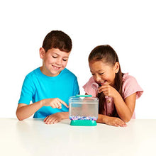 
                        
                          將圖片載入圖庫檢視器 Little Live Aqua Dragons - Deep Sea Habitat - LED Light Up Tank Hatch and Grow Aquatic Pets - JOY2ESpree
                        
                      