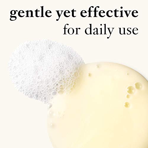 Philosophy Purity Made Simple One-Step Facial Cleanser