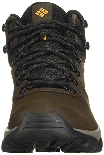 Columbia Men's Newton Ridge Plus Ii Waterproof Hiking Boot Shoe