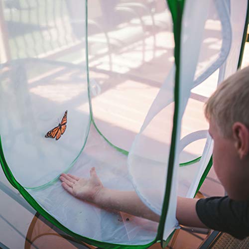FUN LITTLE TOYS Square Butterfly Cage Set Butterfly Habitat Butterfly Garden Kit Insect Lore Butterfly Garden Without Butterfly - JOY2ESpree