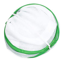 
                        
                          गैलरी व्यूवर में इमेज लोड करें, Scotamalone Collapsible Butterfly Habitat Garden Cage Butterfly Cage Butterfly House Insect Net Terrarium Net Pop-up - JOY2ESpree
                        
                      