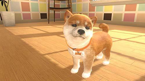 Little Friends: Dogs & Cats - Nintendo Switch - JOY2ESpree
