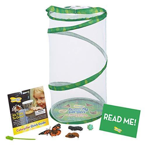 Insect Lore Giant Butterfly Garden with Voucher - JOY2ESpree