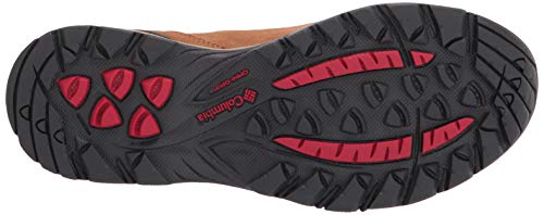 Columbia Women's Newton Ridge Plus Waterproof Amped Hiking Shoe