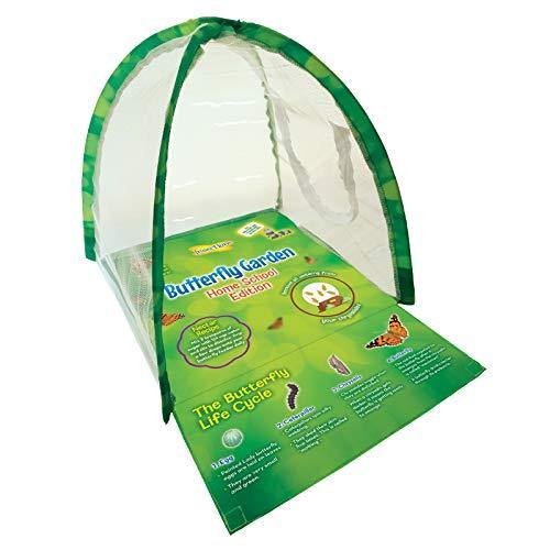 Insect Lore Butterfly Garden Home School Edition - JOY2ESpree