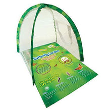 
                        
                          गैलरी व्यूवर में इमेज लोड करें, Insect Lore Butterfly Garden Home School Edition - JOY2ESpree
                        
                      