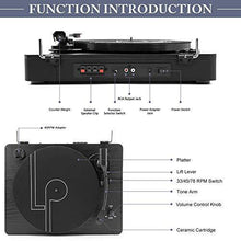
                        
                          將圖片載入圖庫檢視器 LP&amp;No.1 Bluetooth Turntable HiFi System with Bookshelf Speakers - JOY2ESpree
                        
                      
