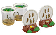 
                        
                          Cargar imagen en el visor de la galería, Insect Lore Butterfly Pavilion: Pavilion Habitat and Two Live Cups of Caterpillars with STEM Butterfly Journal - JOY2ESpree
                        
                      