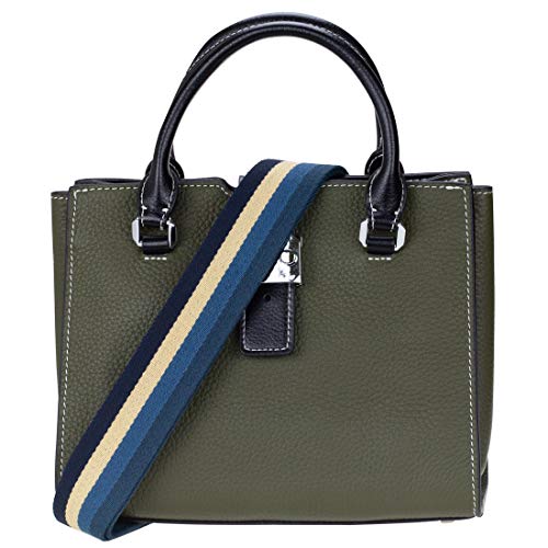 Allzedream Purse Strap Replacement Crossbody Handbag Stripe Wide Adjustable