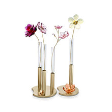 
                        
                          Muat gambar ke penampil Galeri, SWAROVSKI Garden Tales Cosmos Crystal Flower, One Size, Pink - JOY2ESpree
                        
                      