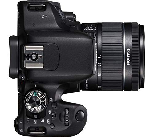 Canon EOS 800D/Rebel T7i Digital SLR Camera with 18-55 is STM Lens Black + 16GB Memory Card