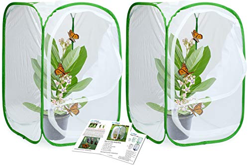 RESTCLOUD 24" Insect and Butterfly Habitat Monarch Butterfly Enclosure for Caterpillars Pop Up 24 Inches Tall Pack of 2 - JOY2ESpree