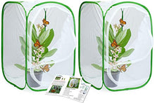 
                        
                          गैलरी व्यूवर में इमेज लोड करें, RESTCLOUD 24" Insect and Butterfly Habitat Monarch Butterfly Enclosure for Caterpillars Pop Up 24 Inches Tall Pack of 2 - JOY2ESpree
                        
                      