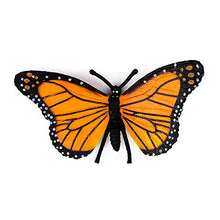 
                        
                          將圖片載入圖庫檢視器 UANDME 4pcs Butterfly Life Cycle Kit Lifestyle Stages of Monarch Butterfly Teaching Tools for Kids, Students - JOY2ESpree
                        
                      