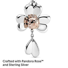 
                        
                          गैलरी व्यूवर में इमेज लोड करें, Pandora Jewelry Clover and Ladybird Dangle Pandora Rose and Sterling Silver Charm - JOY2ESpree
                        
                      