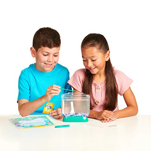 Little Live Aqua Dragons - Deep Sea Habitat - LED Light Up Tank Hatch and Grow Aquatic Pets - JOY2ESpree