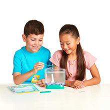 
                        
                          將圖片載入圖庫檢視器 Little Live Aqua Dragons - Deep Sea Habitat - LED Light Up Tank Hatch and Grow Aquatic Pets - JOY2ESpree
                        
                      