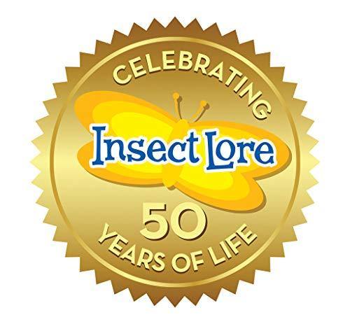 Insect Lore Live Cup of Caterpillars Deluxe - JOY2ESpree