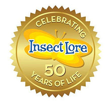 
                        
                          將圖片載入圖庫檢視器 Insect Lore Live Cup of Caterpillars Deluxe - JOY2ESpree
                        
                      