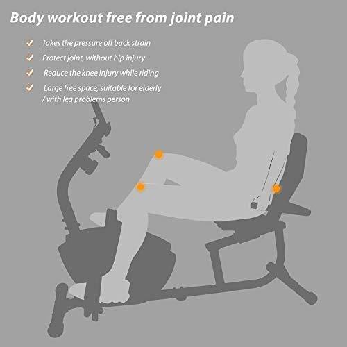 JEEKEE Recumbent Exercise Bike for Adults Seniors - Indoor Magnetic Cycling Fitness Equipment for Home Workout - JOY2ESpree