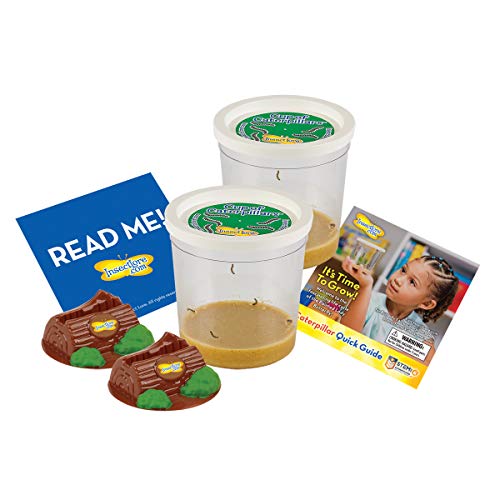 Insect Lore Two Cups of Caterpillars - Life Science & STEM Education - JOY2ESpree