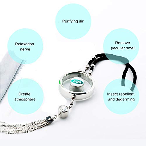 VILLSION Car Logo Perfume Air Freshener Rearview Mirror Pendant Ornament Exquisite for Car with Gift Box