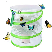 
                        
                          Muat gambar ke penampil Galeri, Alezywels Butterfly Habitat Insect Cage - Round Pop Up Mesh Net 12 x 14 Inches Tall with Side and Top Windows - JOY2ESpree
                        
                      