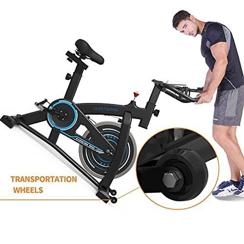 GOFLYSHINE Exercise Bikes Stationary,Exercise Bike for Home Indoor Cycling Bike for Home Cardio Gym,Workout Bike with 35 LBS Flywheel - JOY2ESpree