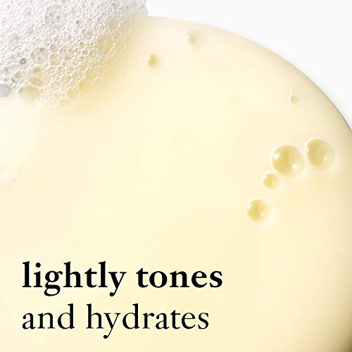 Philosophy Purity Made Simple One-Step Facial Cleanser