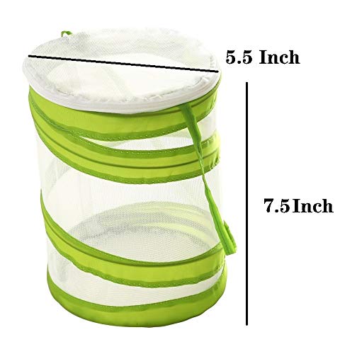 ANTOLL Mini Insect Habitat Cage, Dragonfly Butterfly Flying Insect Mesh Cage - JOY2ESpree