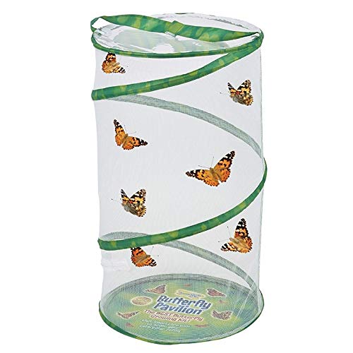 Insect Lore Butterfly Pavilion - JOY2ESpree