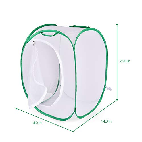 FUN LITTLE TOYS Square Butterfly Cage Set Butterfly Habitat Butterfly Garden Kit Insect Lore Butterfly Garden Without Butterfly - JOY2ESpree