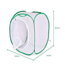
                        
                          Load image into Gallery viewer, FUN LITTLE TOYS Square Butterfly Cage Set Butterfly Habitat Butterfly Garden Kit Insect Lore Butterfly Garden Without Butterfly - JOY2ESpree
                        
                      