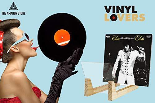 The Amador's Store Vinyl LP Record Rack 50-55 LP storage Stand Holder - JOY2ESpree