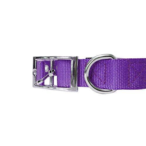 Downtown Pet Supply Deluxe Adjustable Thick Dog Collar, (Purple, XLarge)